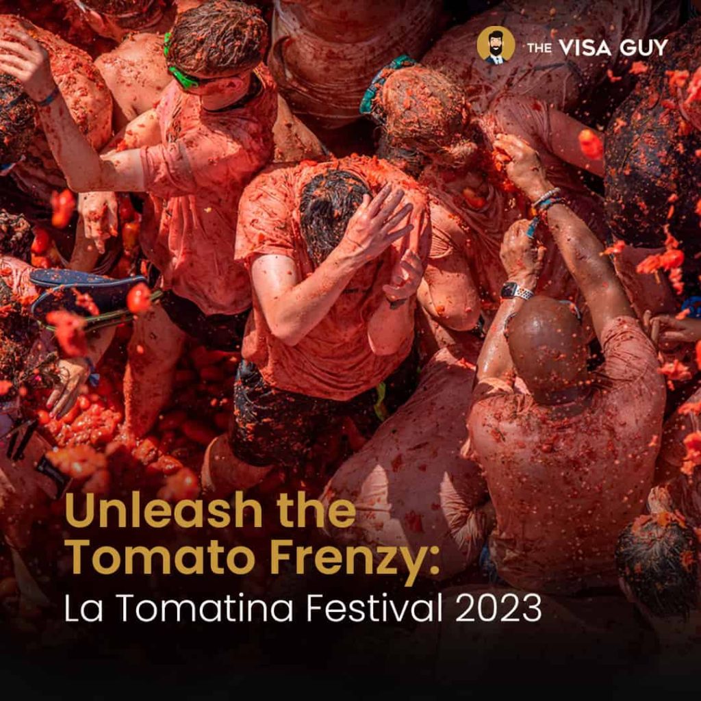 Tomato frenzy