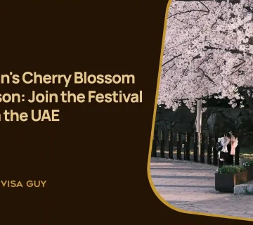 Japan's Cherry Blossom Season: Join the Festival from the UAE