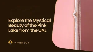 Pink Lake from the UAE