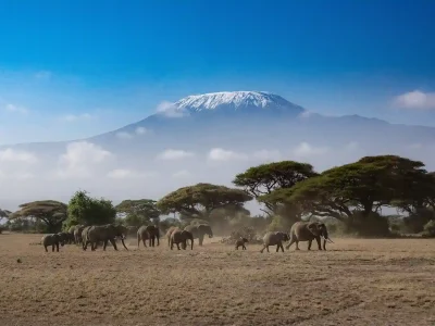 Kenya e-Visa from Dubai